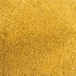 Jercy-mustard